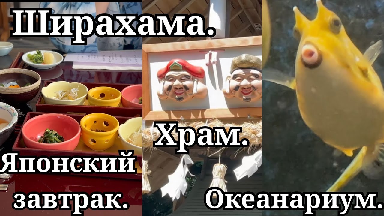 Ширахама. Японский завтрак. Храм. Океанариум.