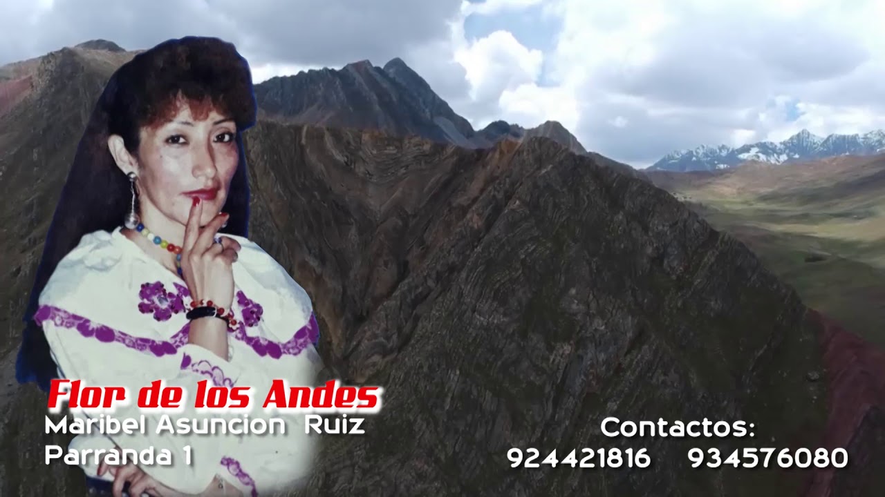 FLOR DE LOS ANDES. MARIBEL ASUNCION RUIZ Parranda 1