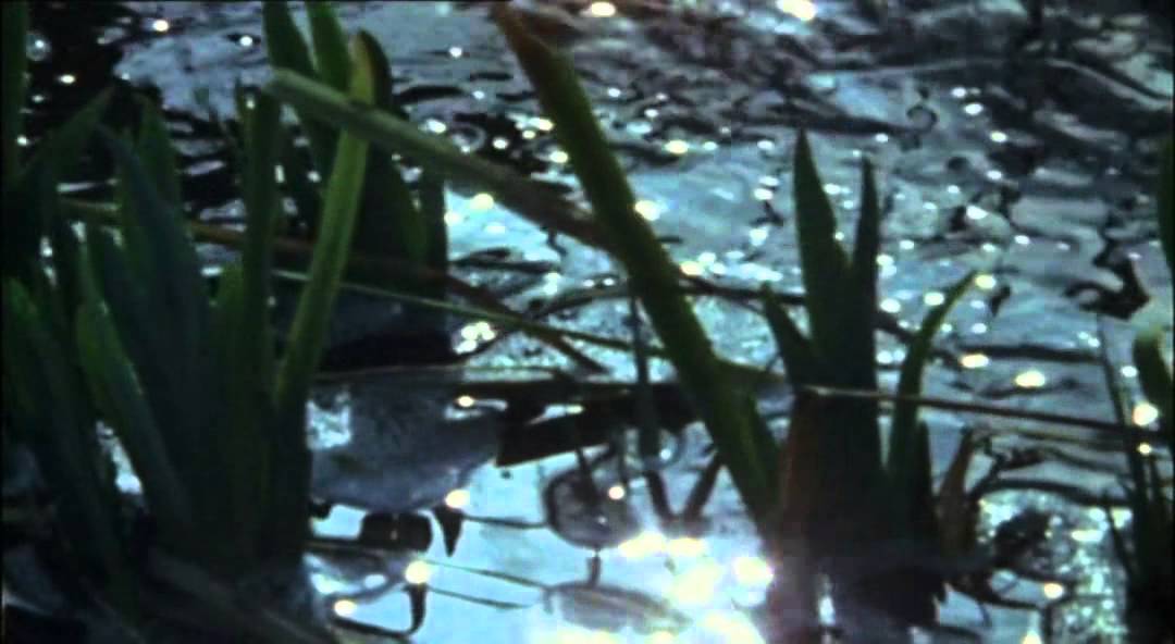 Brian Eno - Unfamiliar Wind (Leeks Hills) 1982