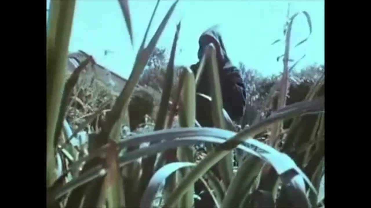 The Spirit Of Dark And Lonely Water (Public Information Film 1973)