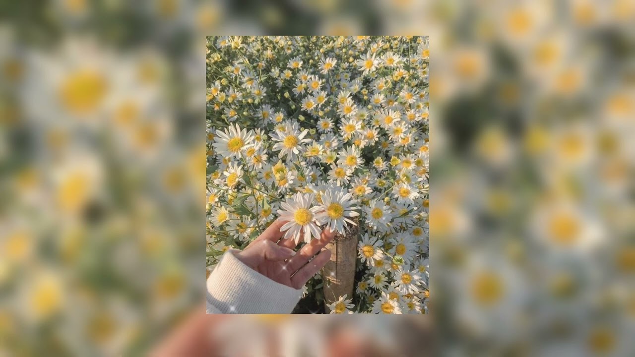 die for you - the weeknd & ariana grande (remix) // slowed & reverb