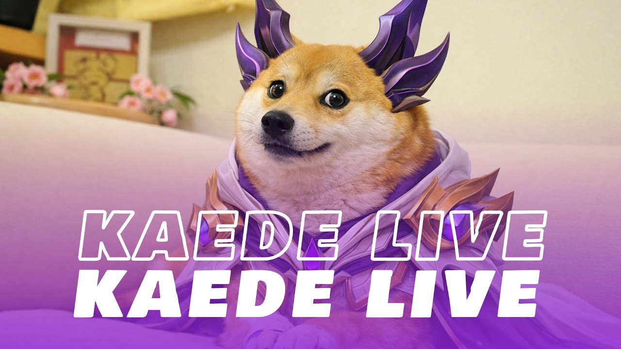 🔴Main Kayak Anjing (mediashare on)