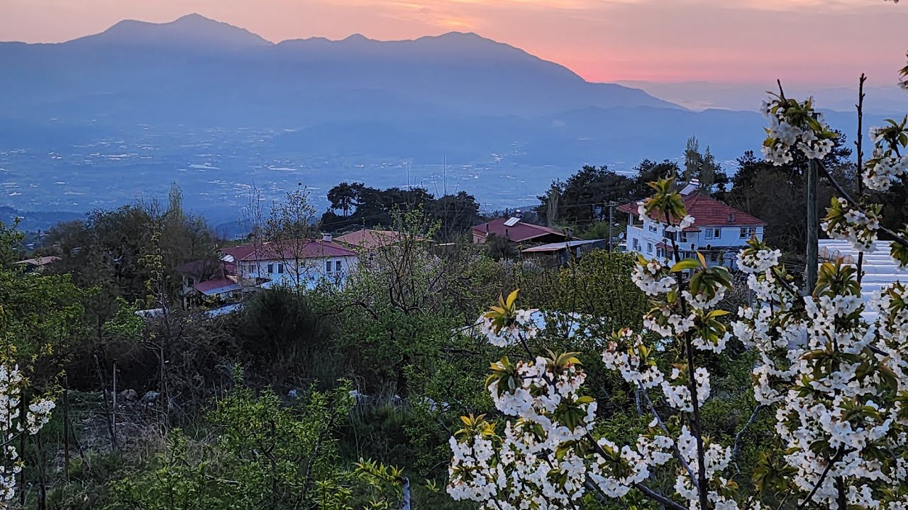 Deniz Manzaralı Bağlıağaç Köyünde Satılık Müstakil Köy İçi İmarlı 960 Metrekare Arsa Ev ve Bahçe.🥰🏡🏠