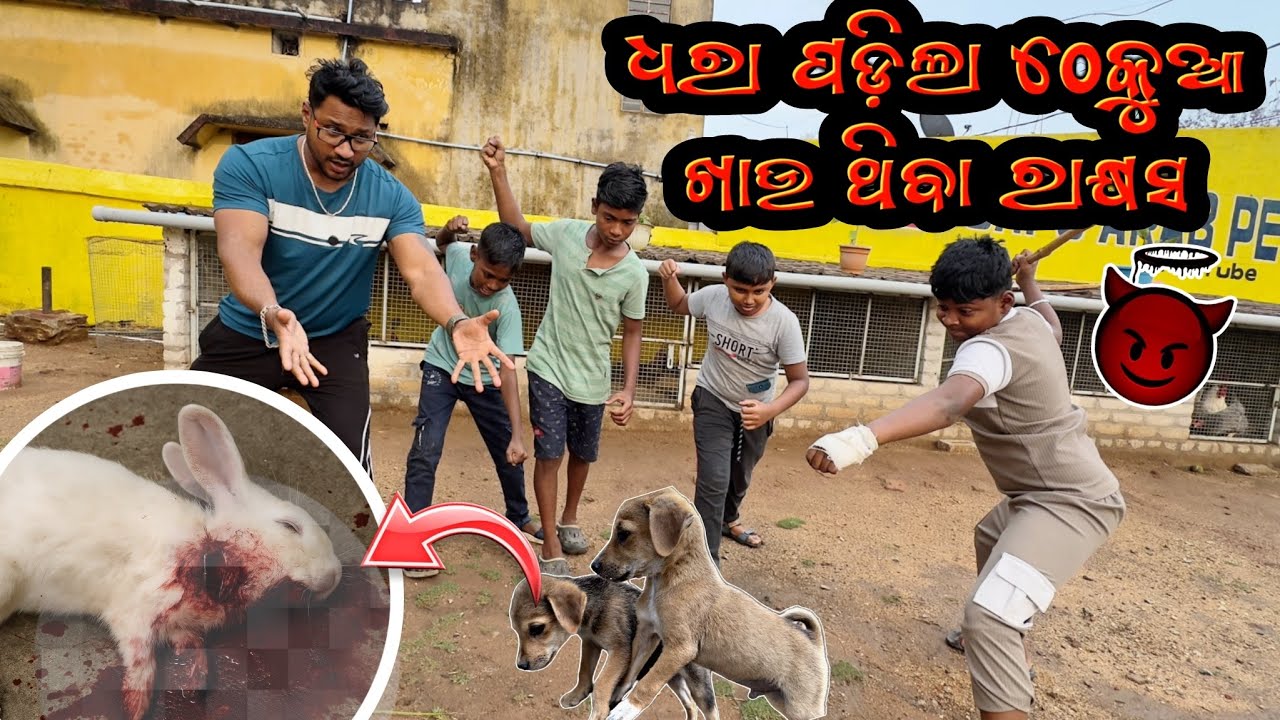 ଧରା ପଡ଼ିଲା ଠେକୁଆ ଖାଉ ଥିବା ରାକ୍ଷସ