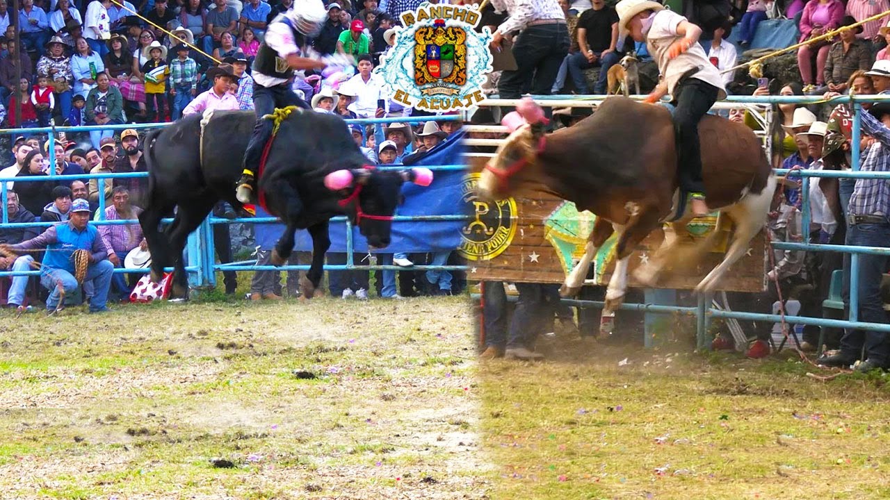 TOROS DE RANCHO EL AGUAJE DE SERGIO PELAYO!! JARIPEO EN NOCUTZEPO MICHOACAN 2025