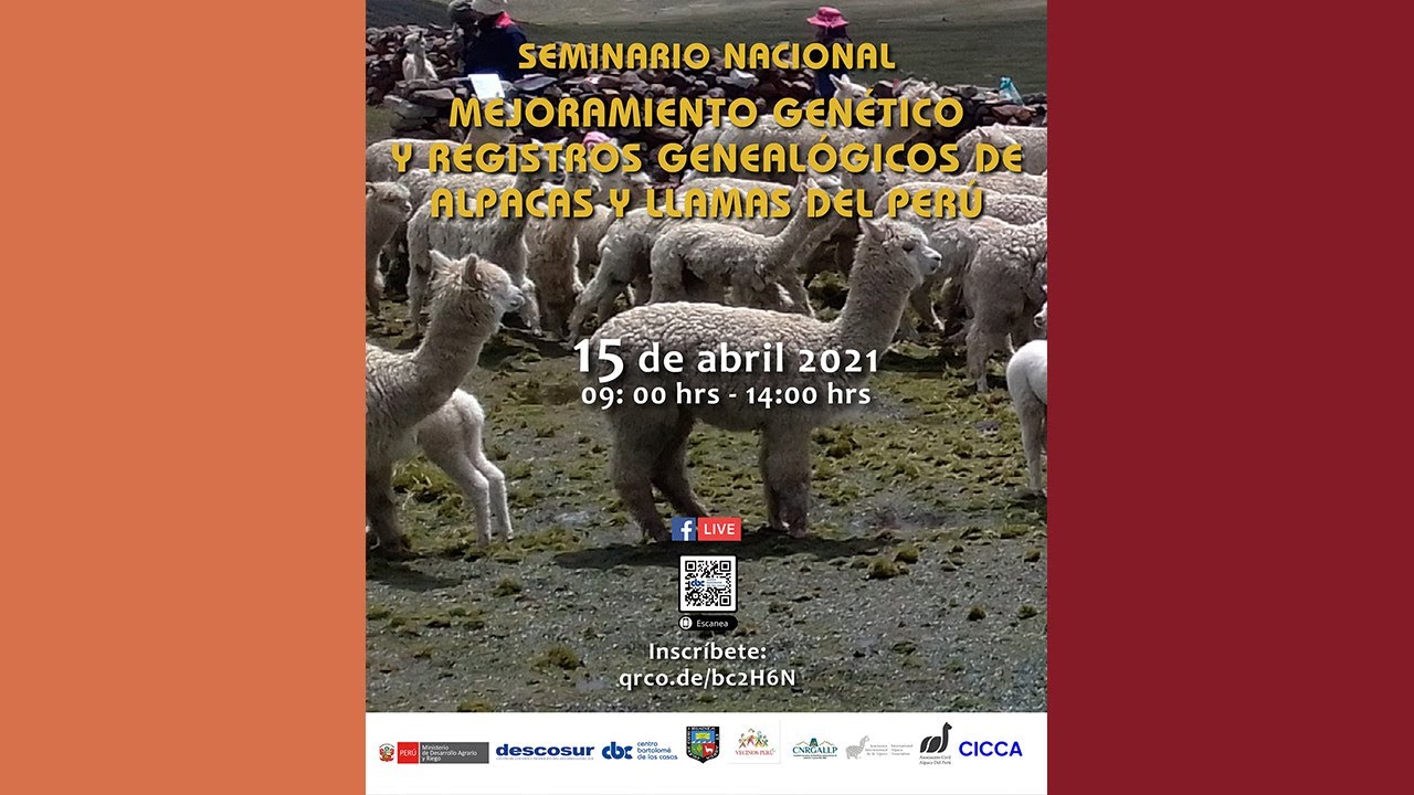 Seminario “Mejoramiento genético y registros genealógicos de alpacas y llamas del Perú”.