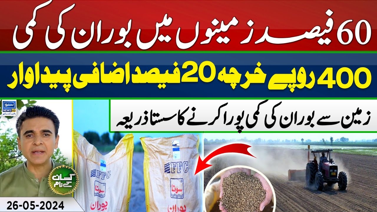 Benefits of Sona Boron DAP | How to overcome Boran deficiency | Kissan Kay Naam | EP 60 | 26 May 24