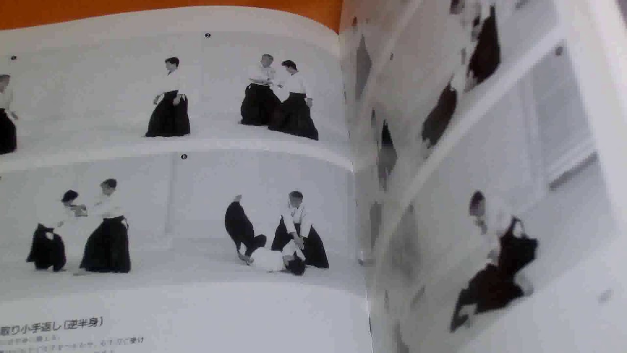 RARE ! Model of Aikido (Basic) book from Japan Japanese martial art #0797