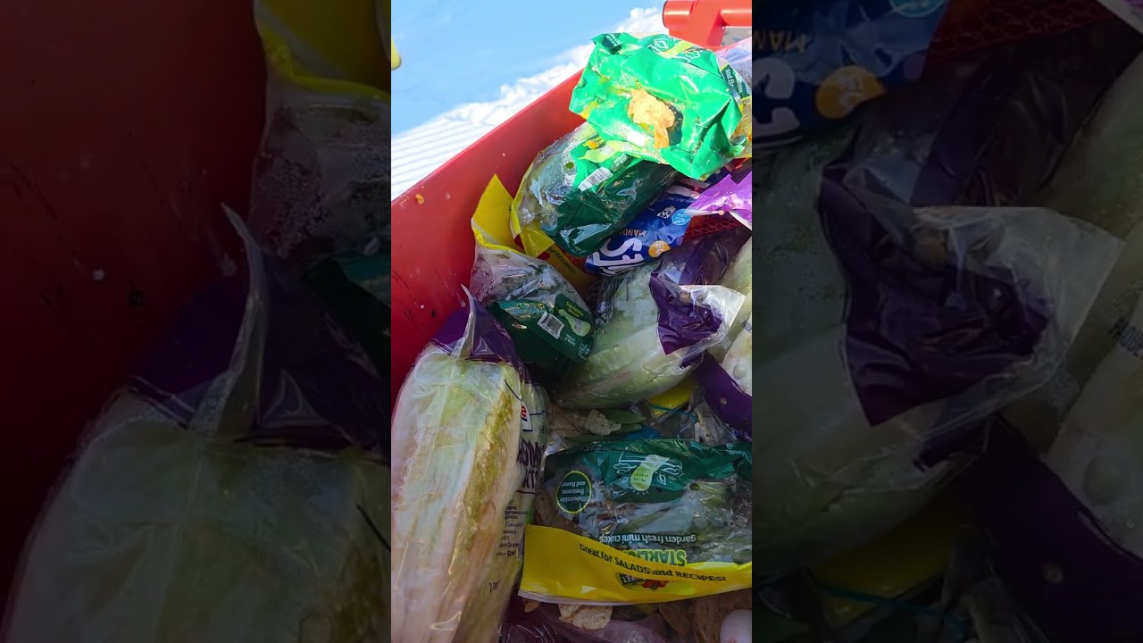 Comida do supermercado! Lixo luxo