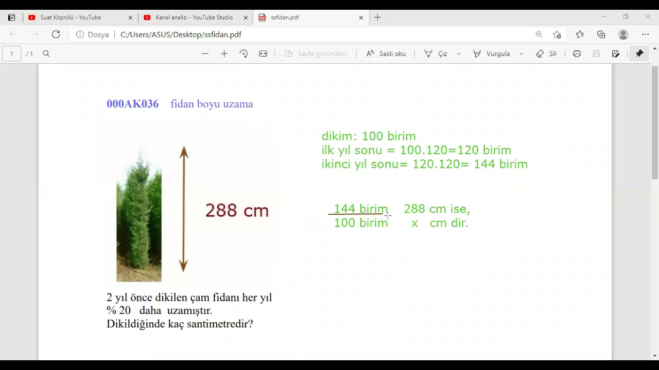 fidan boyu uzamaAK036