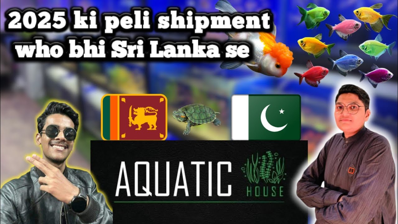fish aquarium Karachi || Aquatic house lalu khet fish aquarium market latest update price 2025 🪴🐌🦐🐟🐠