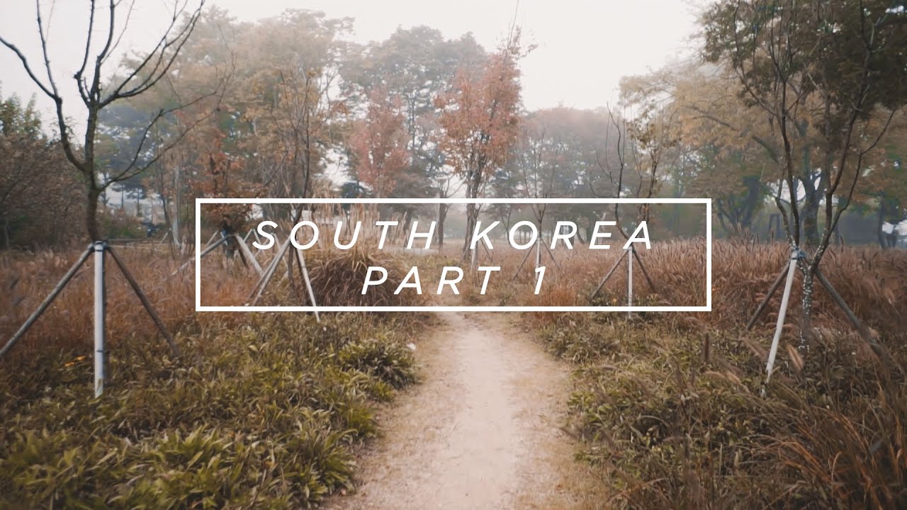 Annyeong Haseyo KOREA Part 1 #LoveDistance2
