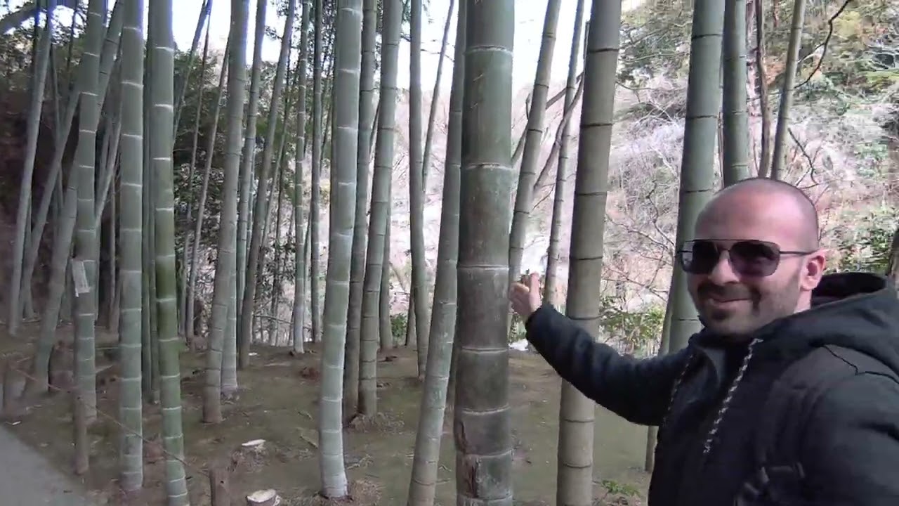 Tempio carino a Kamakura parte 1