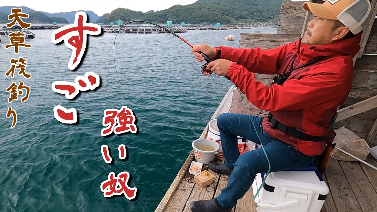 【かかり釣り】間違いないと思った釣り方を試しに行く【昭丸】