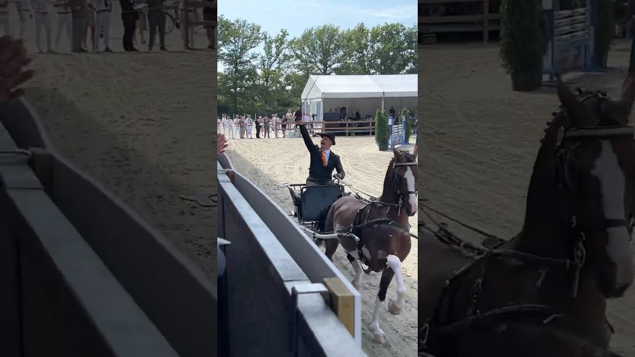 Olympus HS wins Manno Trophy 🏆 with Harry van Middelaar at the National Harness Horse day 2025