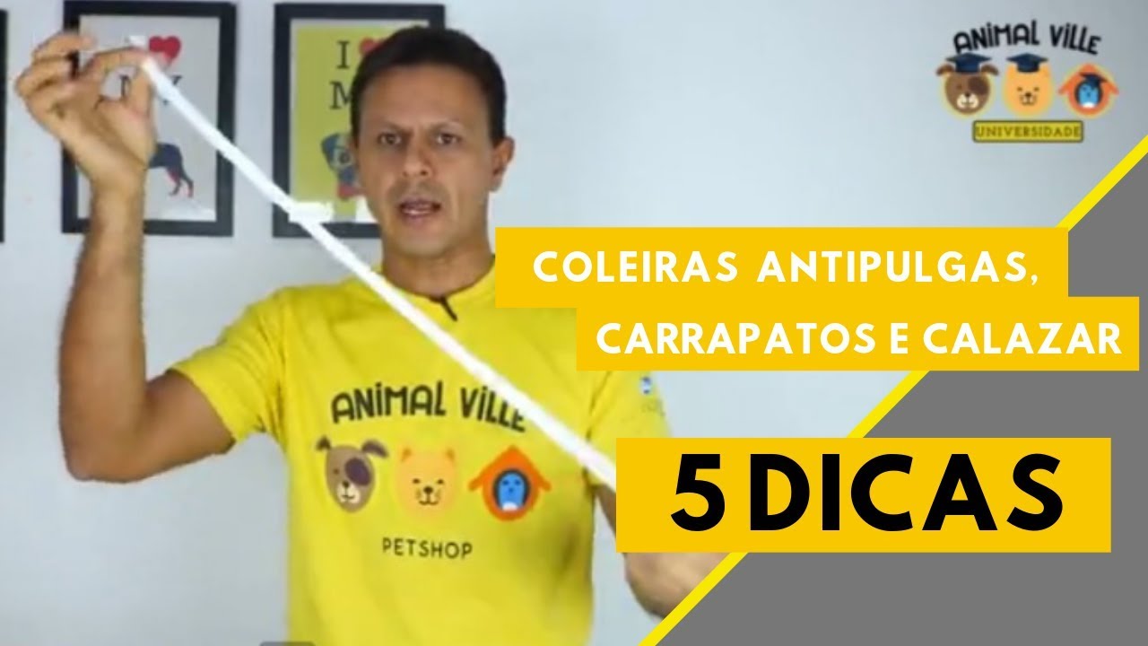 Coleiras Antipulgas, Carrapatos e Calazar. 5 Dicas.