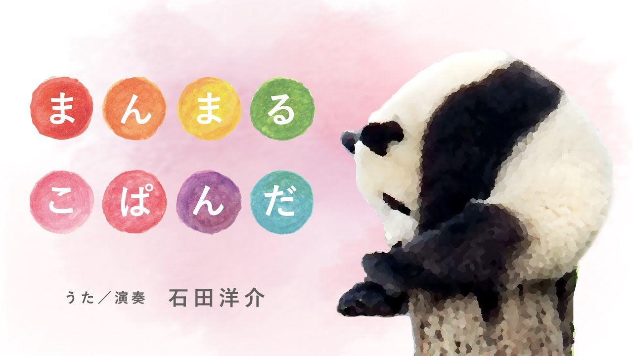 【オリジナルソング】まんまるこぱんだ（シャンシャン映像とともに）
