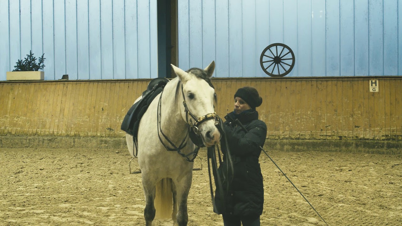 Jungpferdeausbildung in der Klassischen Reitkunst- classical dressage by Conny Siemes
