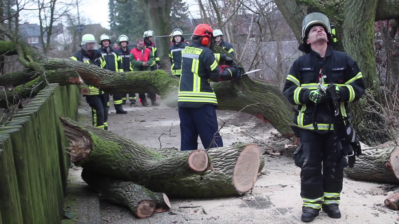 Baum droht in Trittau zu fallen