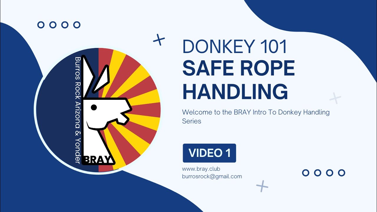 BRAY Donkey 101: Safe Rope Handling