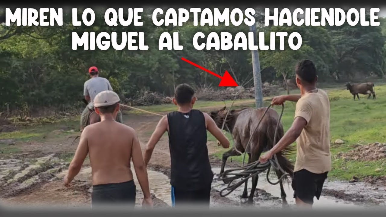 Ale le hace una propuesta a Camarón sobre el trabajo en el corral.  Parte 25