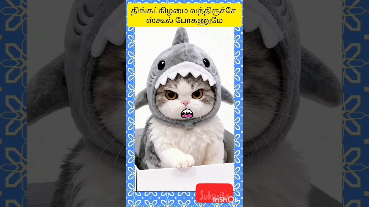 🐕🐈🤣செத்துபோ...#trending #catfunny #dogfunny #funnycomedy #comedy #love #doglove #petcomedy #petlover