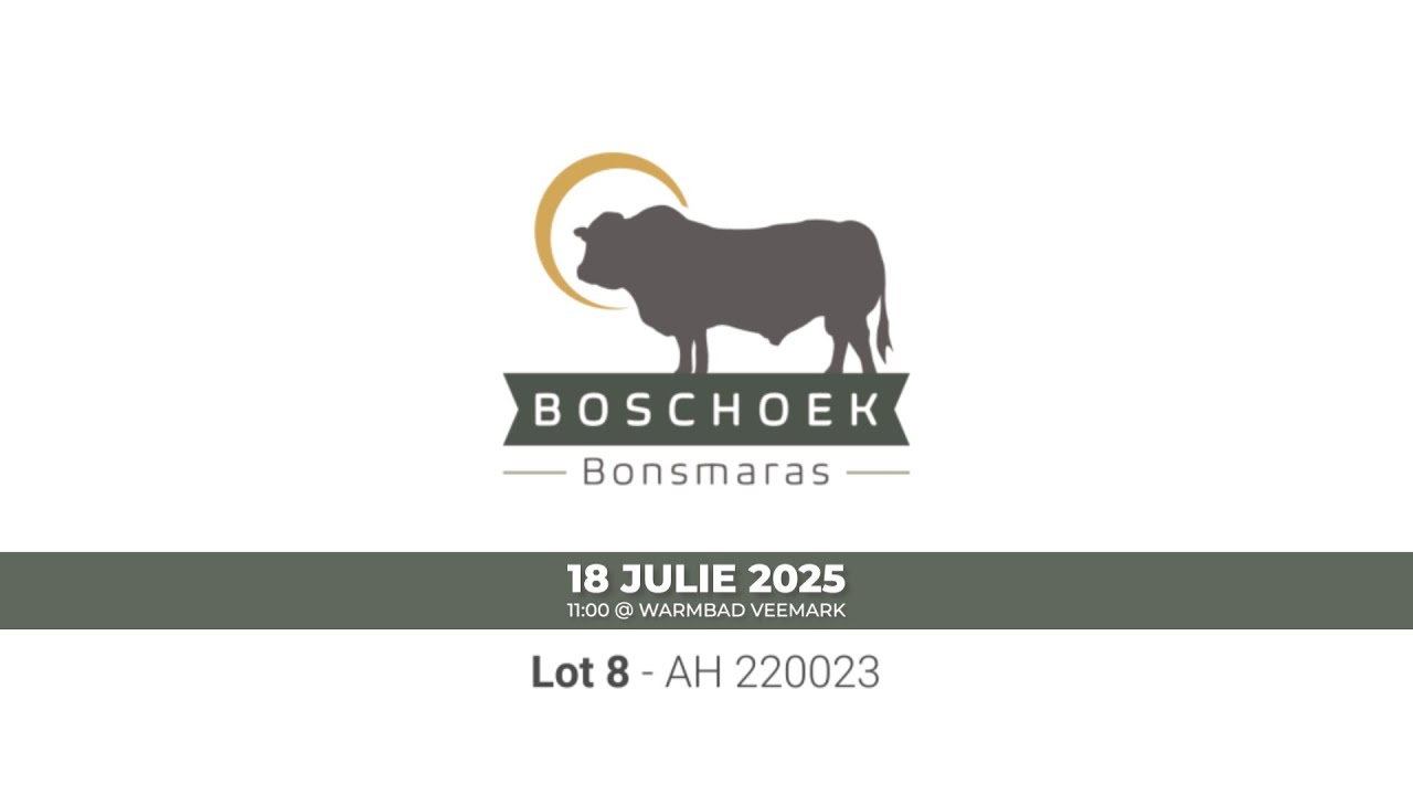 Lot 8 - AH 220023