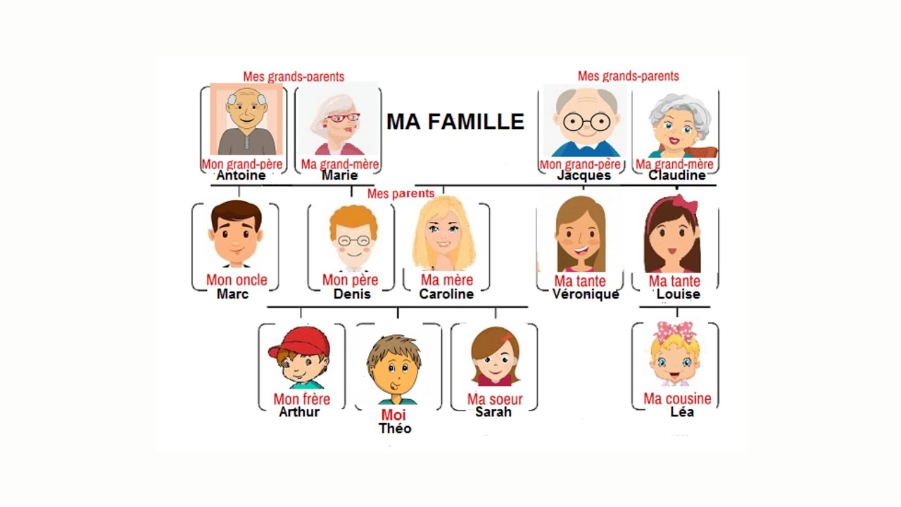 Los miembros de la familia en francés | Les membres de la famille
