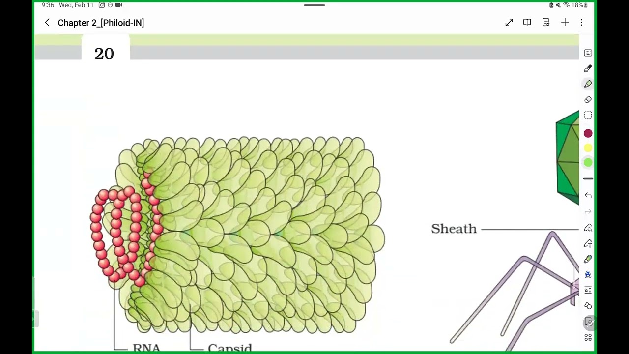 70 pyq discussion of biological classification | Monera, virus, viroid,prion | DDC