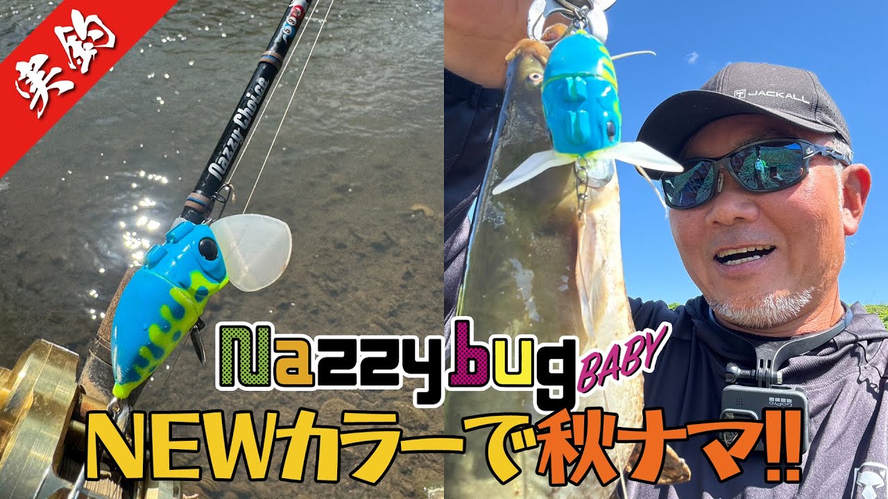 【デイナマ】ナジーバグベイビーの新色で秋ナマ調査へ！ Fishing for Catfish in JAPAN