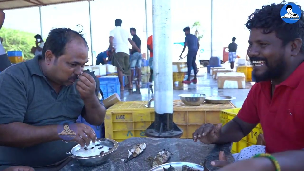 World Food Tube நண்பர்களுடன் கானாங்கத்த மீனை சுட்டு சாப்பிடுறோம்