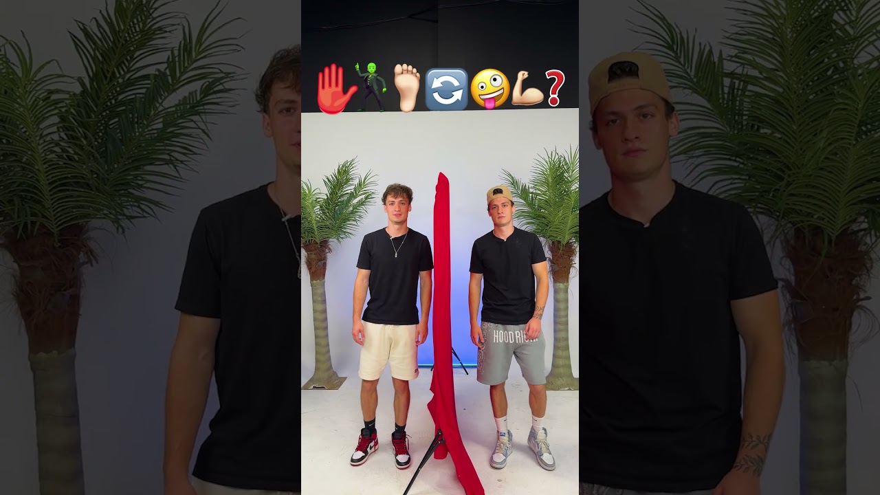 Twin Telepathy Challenge