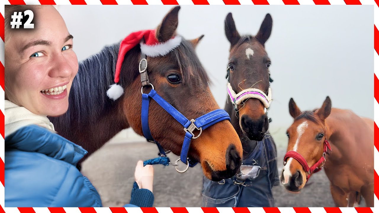 PIERWSZY TRENING MUNIA | VLOGMAS #2