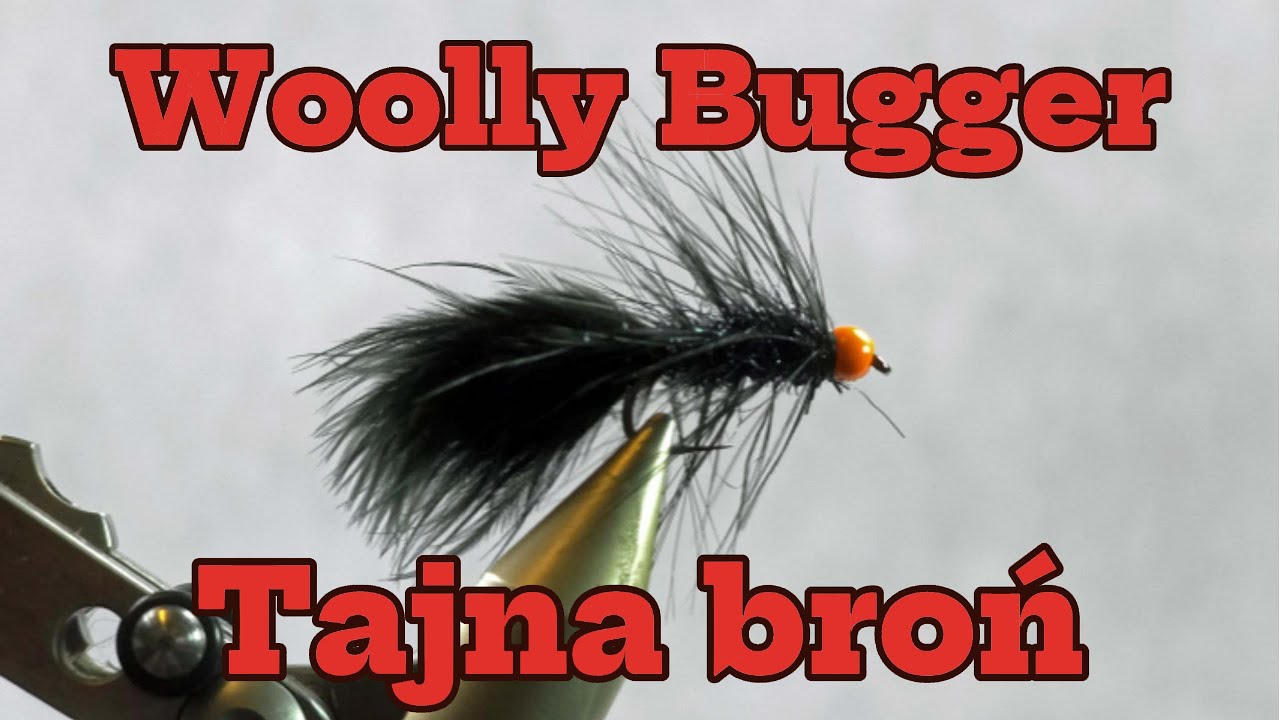 👉Woolly Bugger. Otwiera wodę!👈