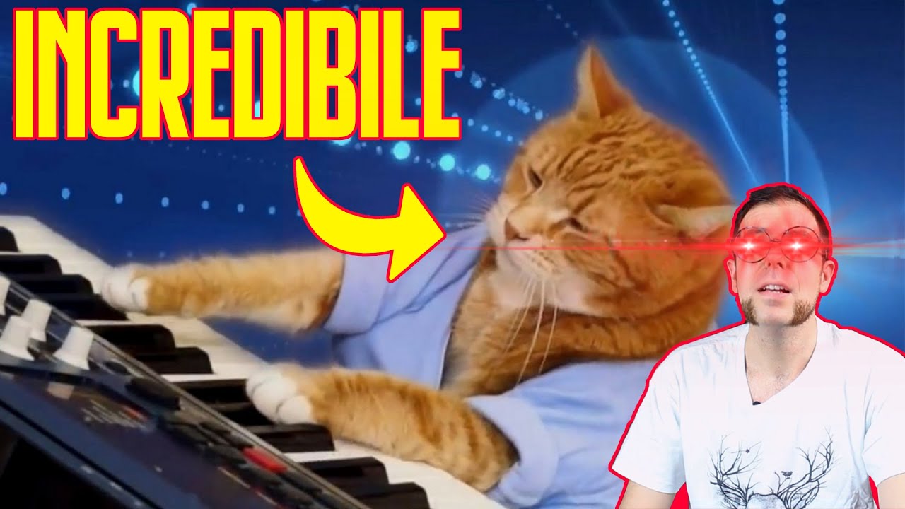 la VERITA' sui GATTI