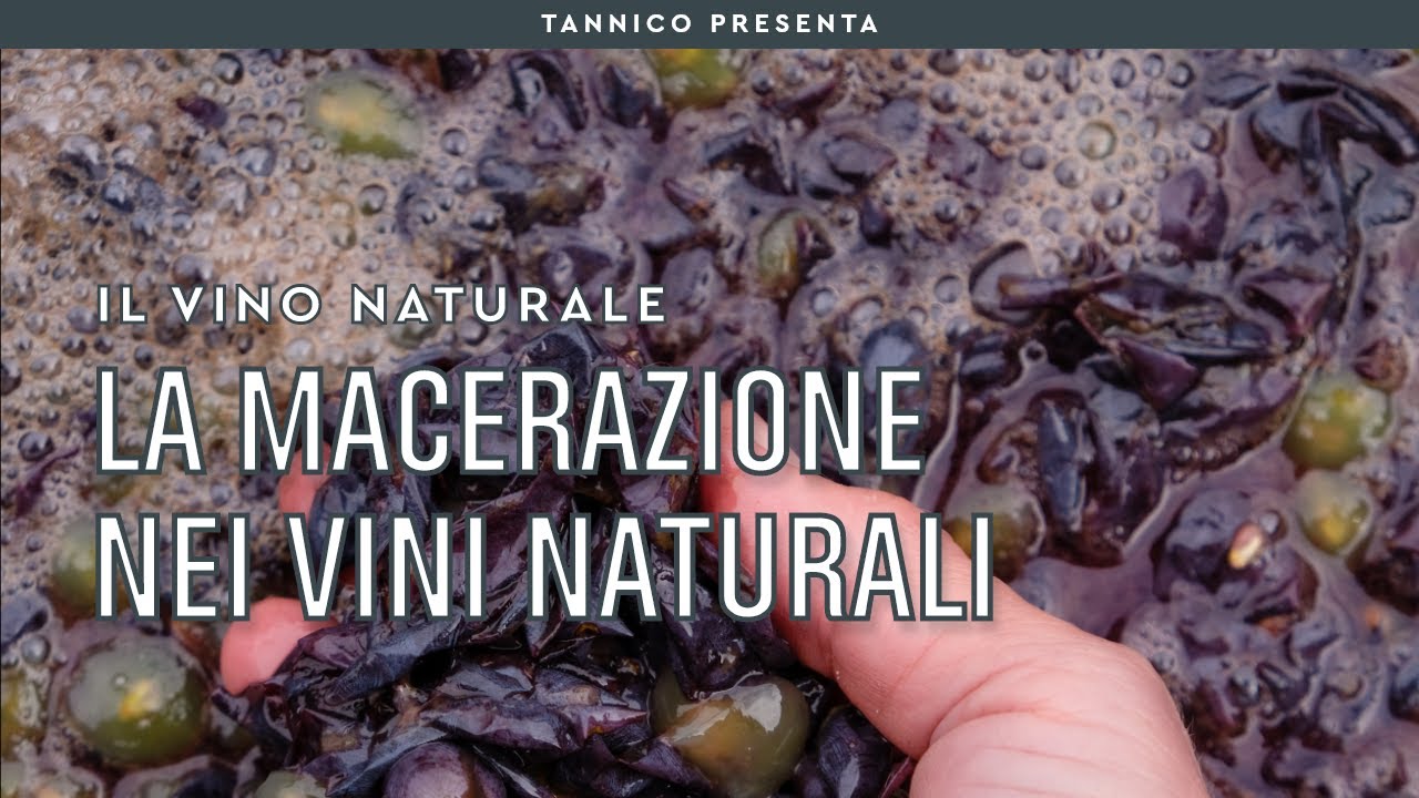 La macerazione nei vini naturali | Tannico Flying School