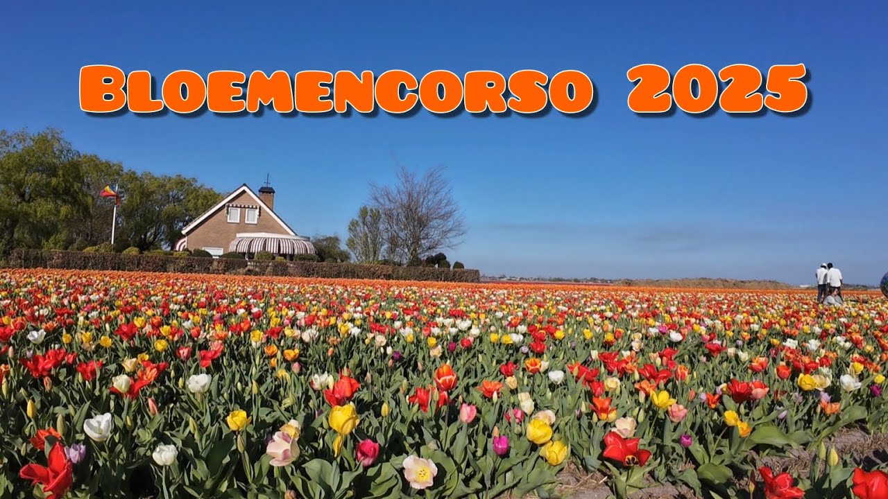 Fietsroute Bloemencorso 2025 Bloemenroute Bollenstreek - 87,1 km - 12-04-2025