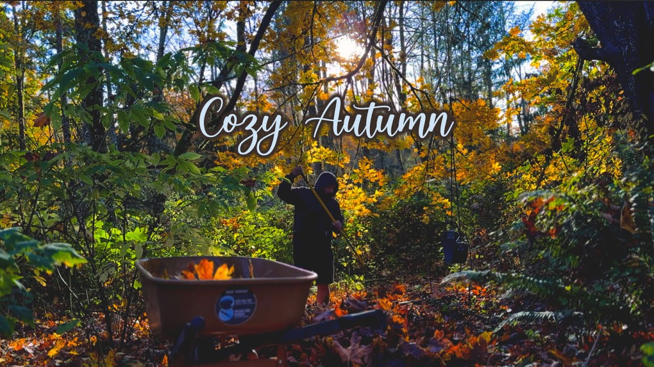 A Cozy Rainy Day  🍂 Fall Homestead Day in the Life | NO talking & Nature Sounds - ASMR