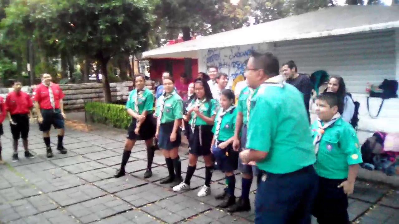 Canción scout - el cocodrilo loco