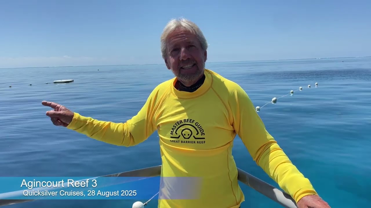 Agincourt Reef Today with Dr Glen