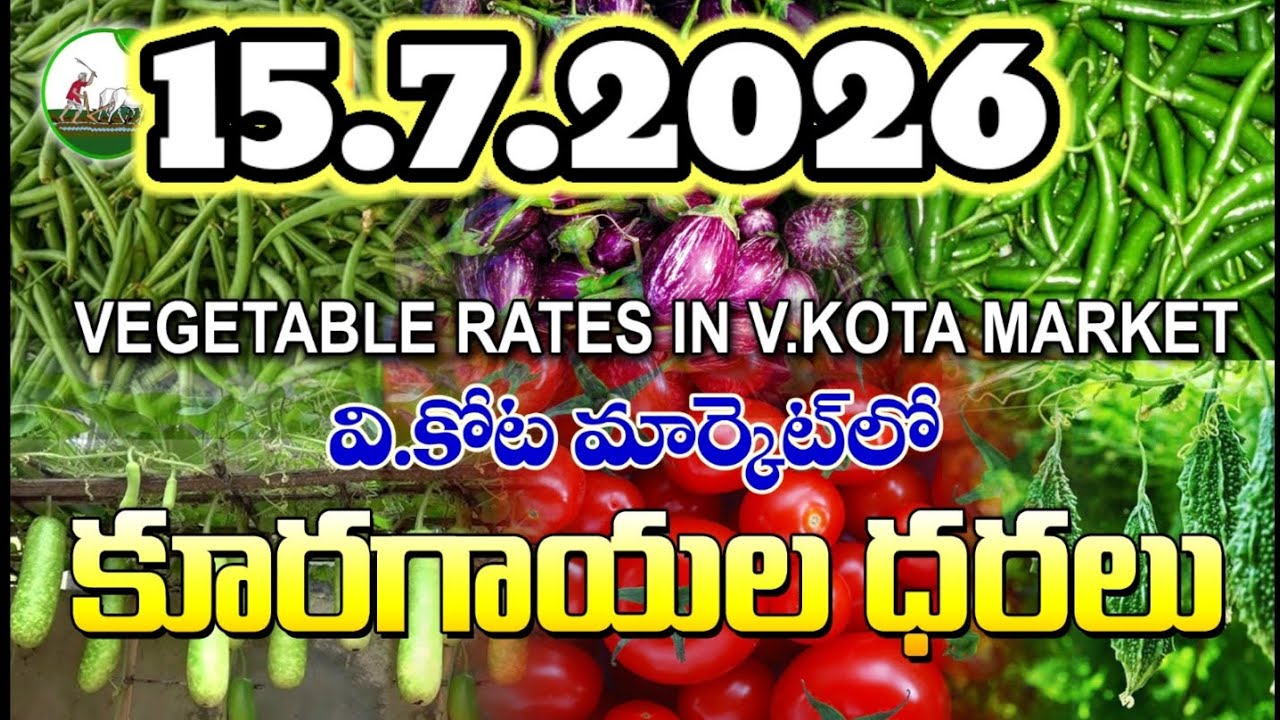 #AMC V.KOTA TODAY BEANS PRICE IN MARKET #ALL VEGETABLE PRICES #marigold 