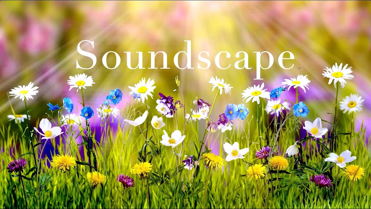 The renaissance of nature - Music for Work and Studying, Background Music for Concentration