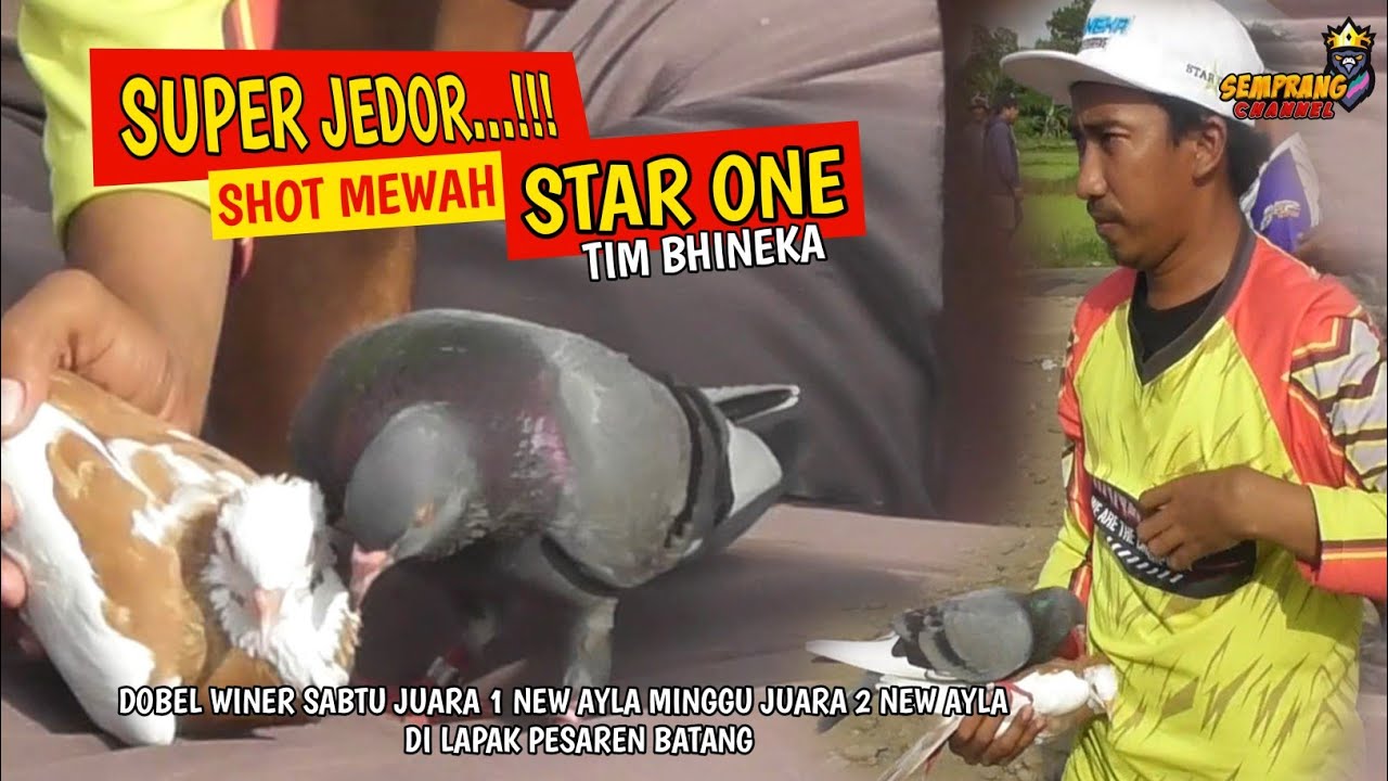 SUPER JEDOR💥STAR ONE TIM BHINEKA LAPAK PESAREN