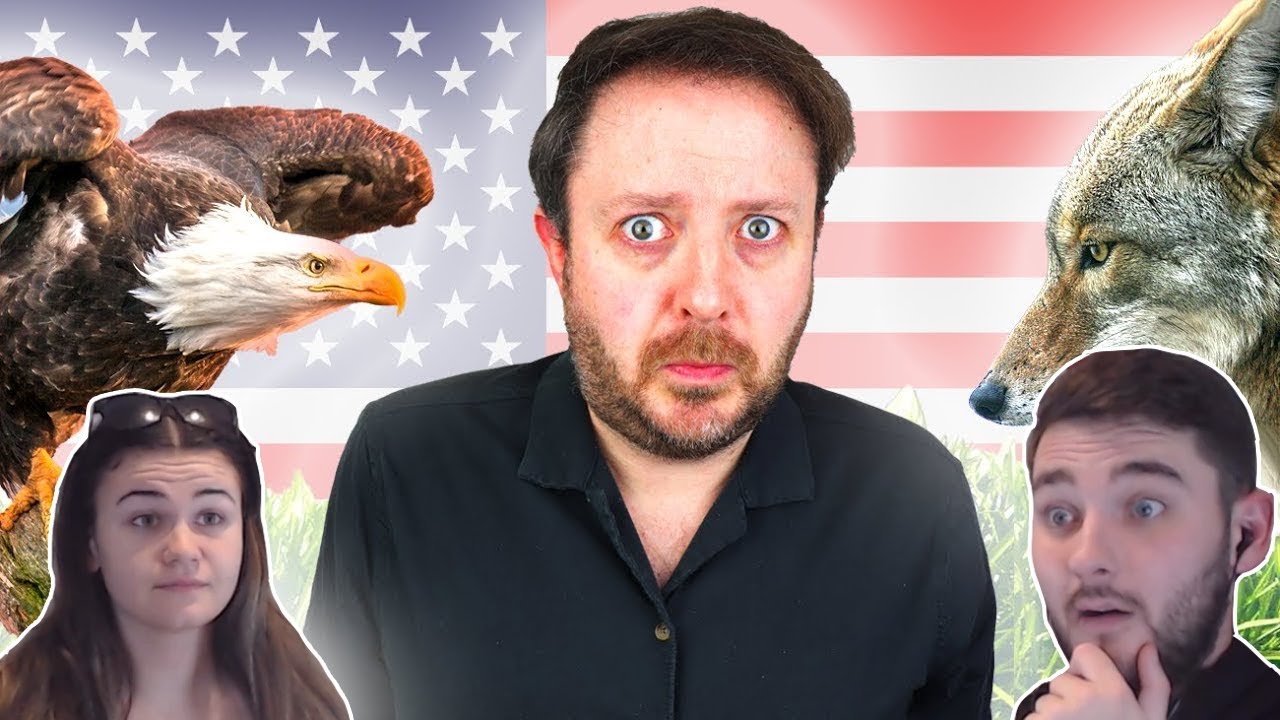 British Couple Reacts to 8 Wild Animals I Only Encountered After Moving to America