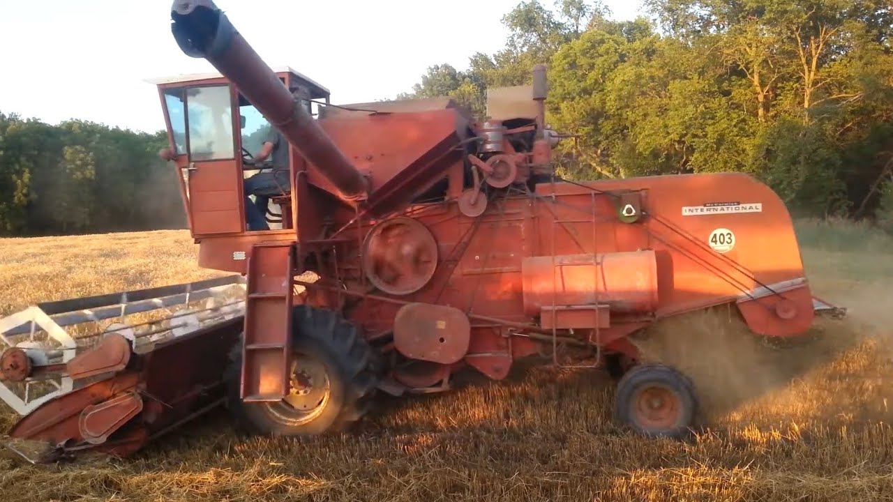 International 403 combine cutting wheat