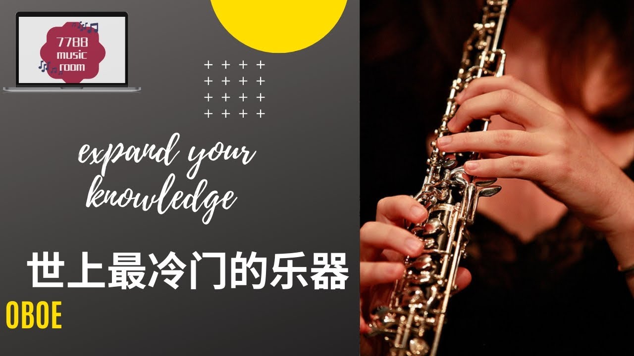世上最冷门的乐器——Oboe