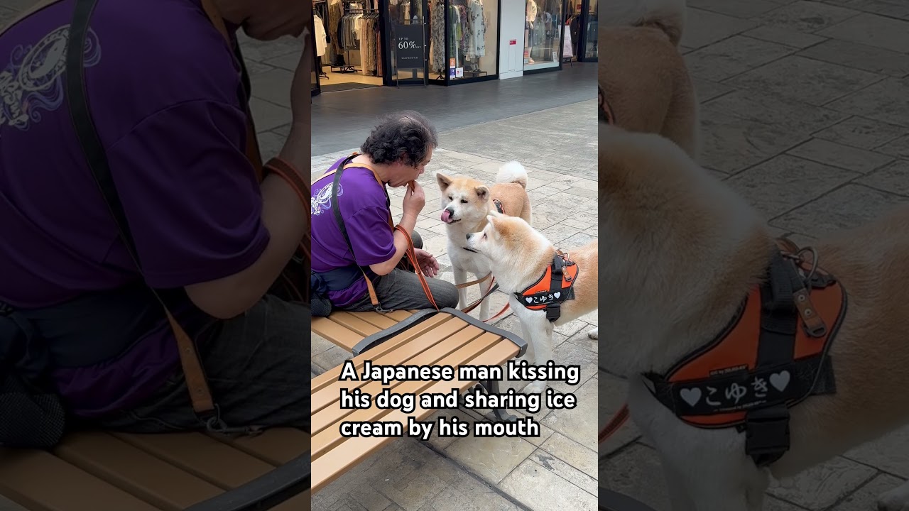 A Japanese man sharing food with his dog by mouth #japanologie #ukjapan #japaneseculture #japan