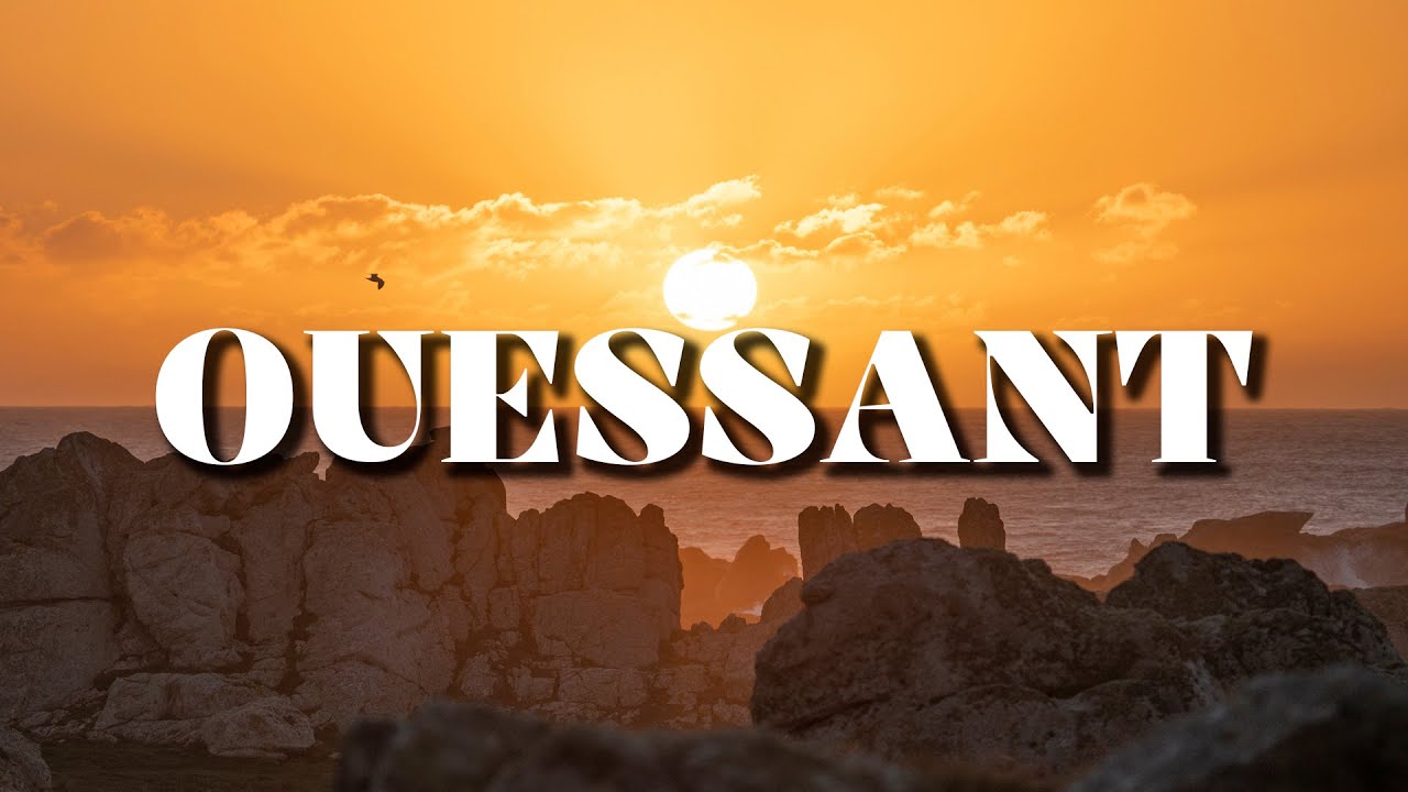 LES OISEAUX DE L'ÎLE D'OUESSANT : Vlog Photo Animalière