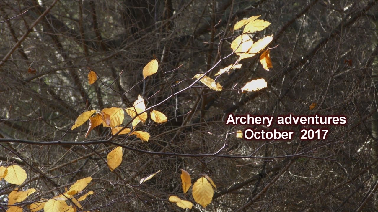 Archery adventures October 2017. ( Bearpaw Mohican )
