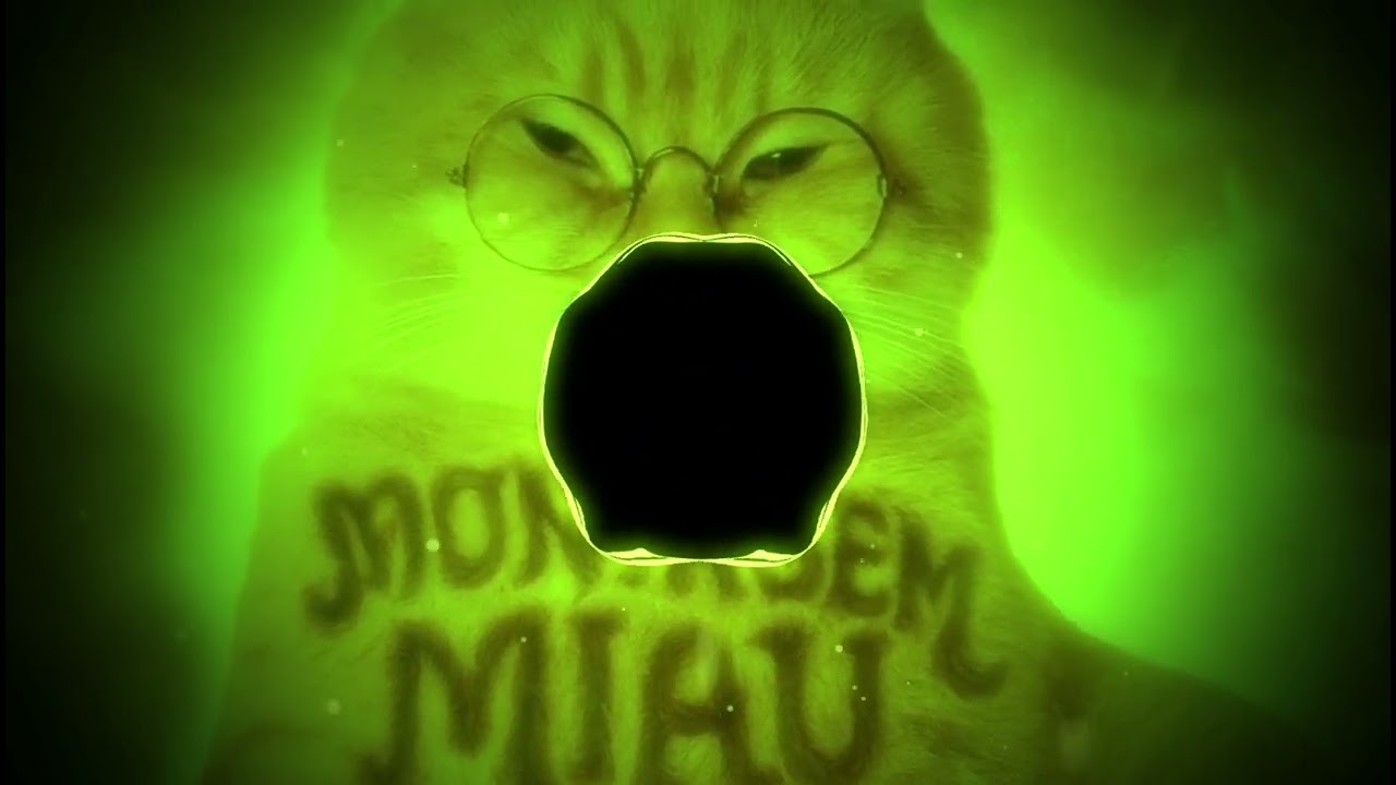MONTAGEM MIAU 🐱🔥 [Edit Audio] | Brazilian Funk • Slowed + Heavy Bass